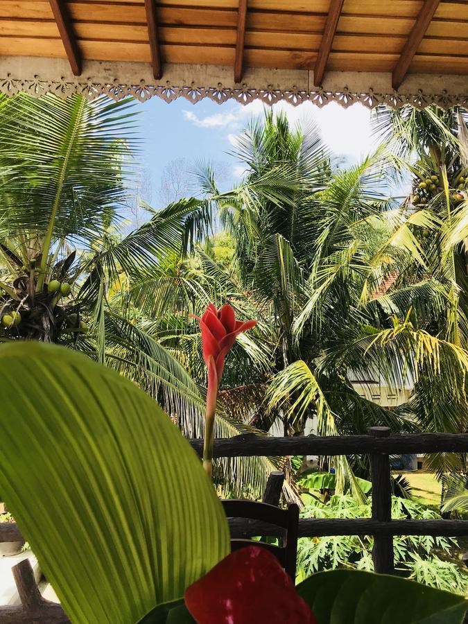 Hotel Neli Guests House Unawatuna Exteriér fotografie